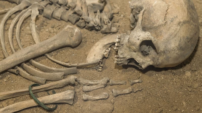 <div class="migrated-promo-image__description"><div class="migrated-promo-image__author">Shutterstock</div></div>