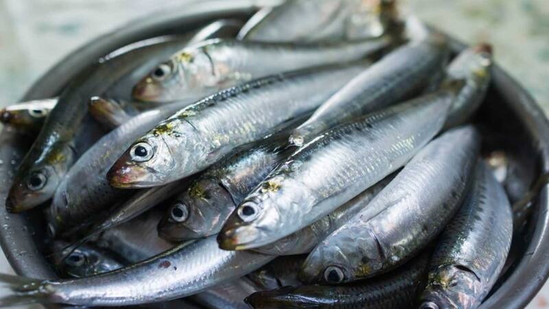 La cantidad de vitamina D en el pescado puede variar según la especie y el método de conservación.