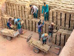 La medida más temida ya es oficial | Niños tendrán que comenzar a trabajar en Estados Unidos: estas son las razones