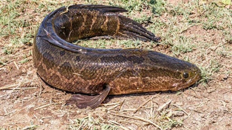 <div class="migrated-promo-image__description"><div class="migrated-promo-image__source">Fuente: archivo </div></div>