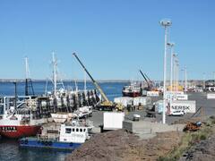 Denuncian bloqueo a las exportaciones por parte de estibadores