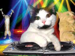 Twitter ya cuenta con un buscador de GIFs