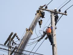 Transener: así abre la cotización HOY lunes 14 de julio