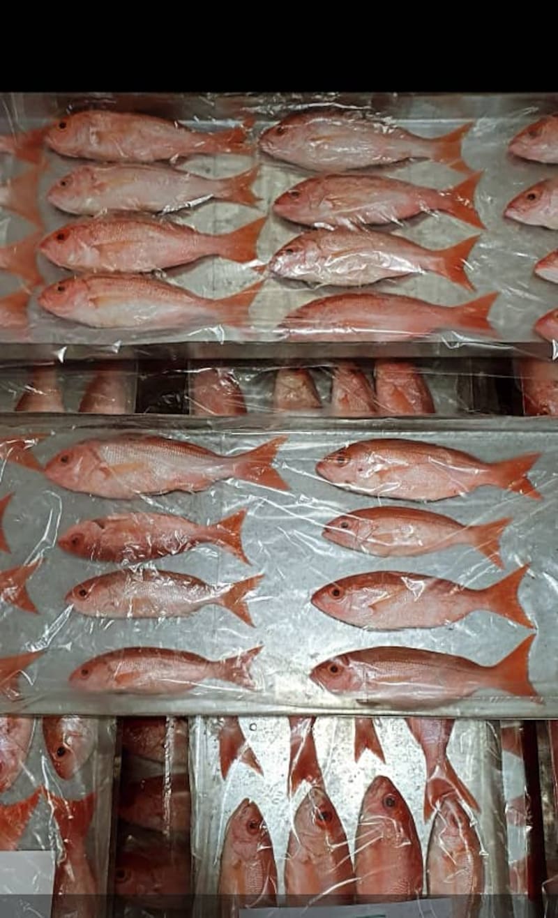 Stendel apostó a un empresa de intermediación pesquera