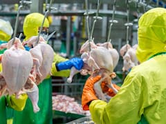 Uruguay suspendió sus importaciones avícolas desde Brasil