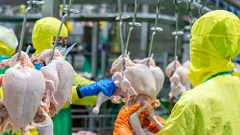 Uruguay suspendió sus importaciones avícolas desde Brasil