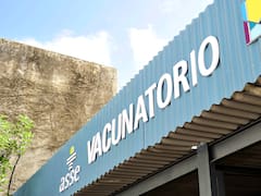 El Ministerio de Salud habilitó a médicos y licenciados en enfermería a vacunar