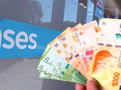 Nuevo IFE: qué pasará con el bono en diciembre 2023 tras la asunción de Javier Milei