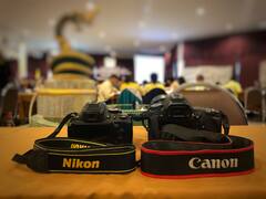 Canon vs. Nikon: ¿cuál es la mejor opción para tu próxima cámara profesional de fotografía?