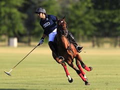 Asociación Argentina de Polo: cifras y crecimiento en el camino al centenario