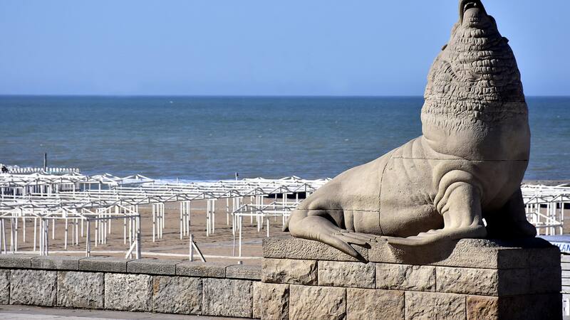 <div class="migrated-promo-image__description"><div class="migrated-promo-image__source">Fuente: SCALZO Jose / Mar del Plata</div></div>