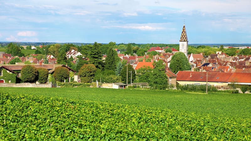 Esta localidad ha preservado muchas de las costumbres y celebraciones alemanas, como festivales y eventos culturales.