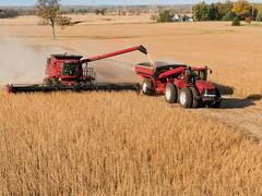 Cepo a la carne: el Gobierno quiere más sojización para desligar los precios internos de la exportación