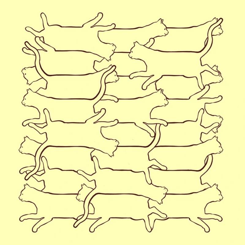 En esta imagen hay un par de felinos que son iguales y completos, no como los demás. (Foto: Genial.guru)