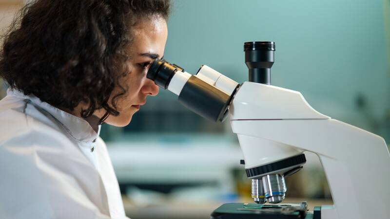 El descubrimiento científico que cambia nuestra comprensión de la vida en la Tierra: hallan un nuevo tipo de microorganismo en el cuerpo humano.