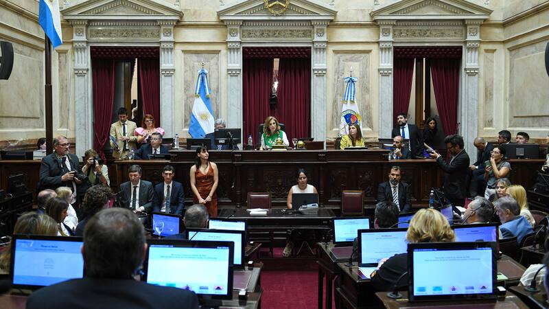 El Senado retoma el debate por la Ley de Alquileres