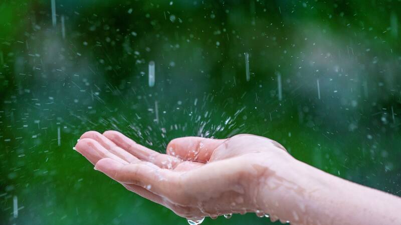 <div class="migrated-promo-image__description"><div class="migrated-promo-image__source">Fuente: Freepik</div></div>