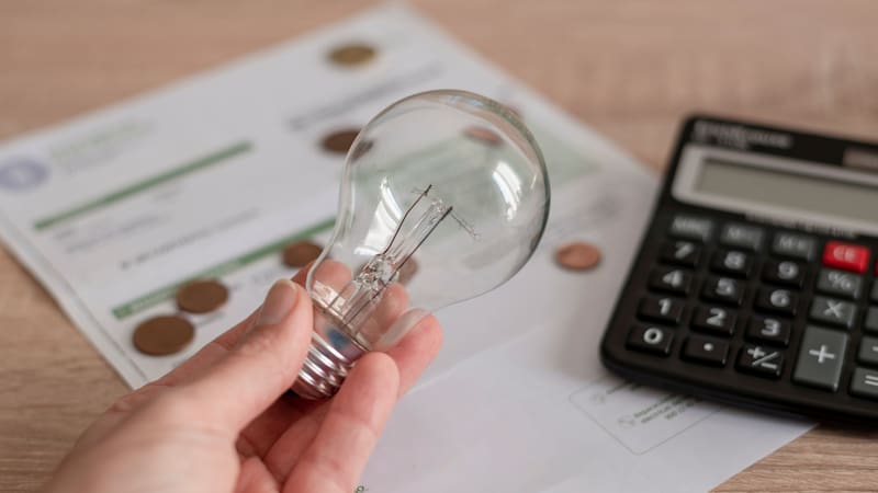 <div class="migrated-promo-image__description"><div class="migrated-promo-image__source">Fuente: Freepik</div></div>