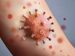 Fiebre de Oropouche: el virus emergente que afecta zonas tropicales y enciende las alertas