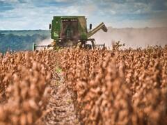 El Gobierno objetó la fusión de Syngenta y Nidera