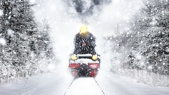 Escapada | El tren mágico que viaja de noche, ofrece desayuno y permite ver los mejores paisajes “navideños”
