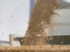 Bayer suspende su negocio de soja en la Argentina