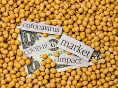 Colapsa la soja: se rompió todo y la Fed sólo insinuó suba de tasa a dos años vista