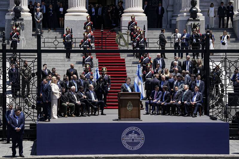 Javier Milei en las escalinatas del Congreso. (Télam/Florencia Downes)