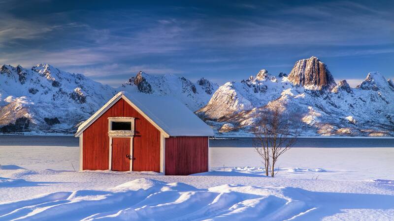 El descubrimiento se dio en medio de una expedición en Groenlandia.