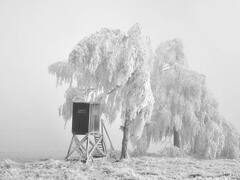 Frente frío 9: México sucumbirá ante el hielo ártico que se aproxima con fuertes heladas