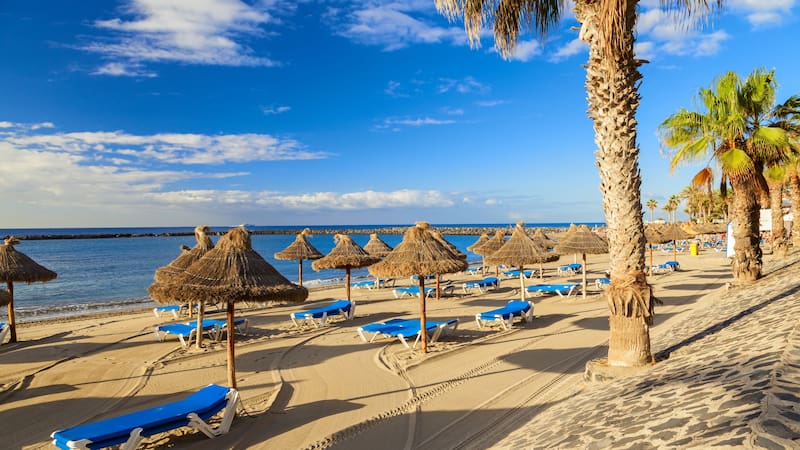 Escapadas: es una de las playas más bonitas de Canarias, está en Tenerife y se pueden ver ballenas.