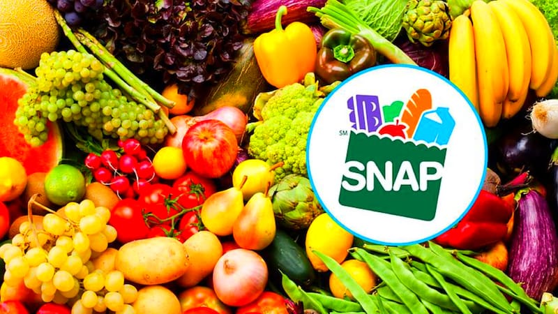 SNAP establece límites de ingresos que resultan esenciales para la elegibilidad al programa. Fuente: archivo.