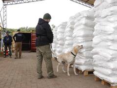 Operativo Dulzura: así interceptaron el cargamento de cocaína más grande de la historia