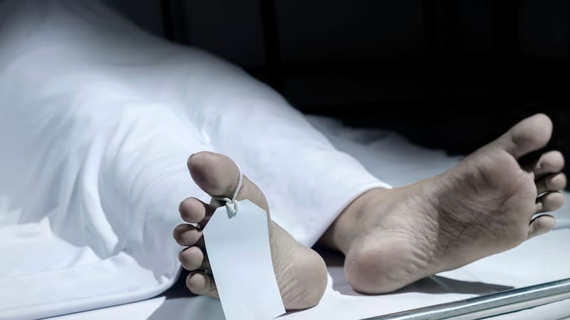 <div class="migrated-promo-image__description"><div class="migrated-promo-image__source">Fuente: ShutterStock </div></div>