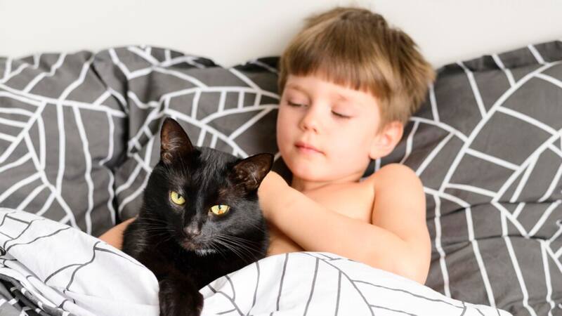 Los gatos negros se asocian con la mala suerte hace muchos años.