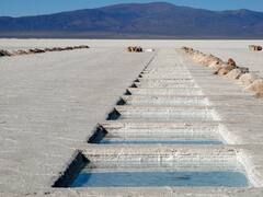 Litio: la fábrica para producir baterías en La Plata ya tiene fecha de ejecución