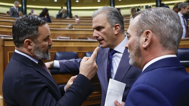 Vox: "No podemos esperar que Sánchez abandone el Gobierno por su propio pie".