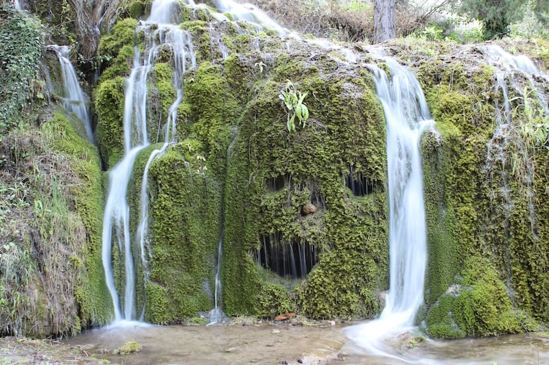 La pareidolia nos lleva a ver rostros humanos en objetos o sitios cotidianos. (Fuente: Unsplash)