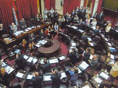 El Senado se encamina a aprobar el canje de la deuda