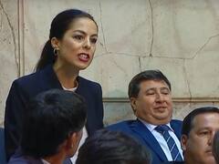 Diputrucha, cannabis y rating, así fue la mañana en el Congreso