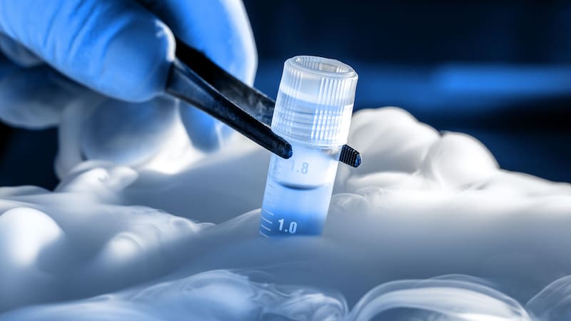 <div class="migrated-promo-image__description"><div class="migrated-promo-image__source">Fuente: Shutterstock</div></div>