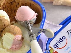 La historia detrás de Grido y su nuevo negocio sin heladeros y 100% digital