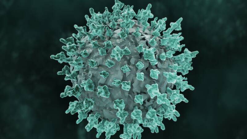 Tras una serie de análisis se detectaron estas bacterias que podrían revolucionar por completo al campo científico.