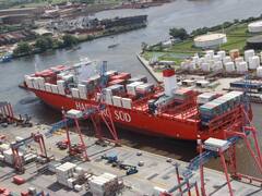 Por el precio de los granos a fines de 2020 mejoraron los términos de intercambio