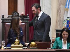 ¿Marcha atrás con el dietazo? Presentan proyectos para retrotraer la suba de las dietas