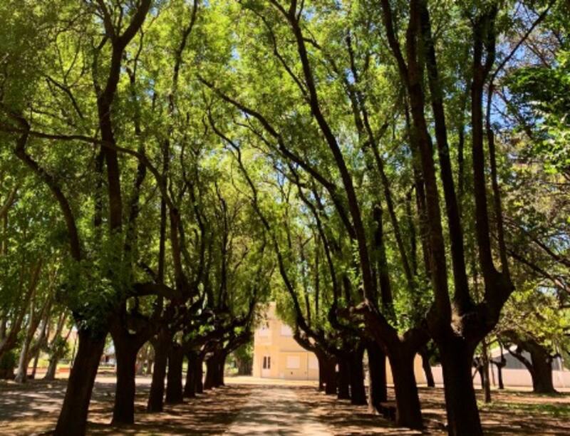 Guido Rodriguez (@gui10road) / Twitter