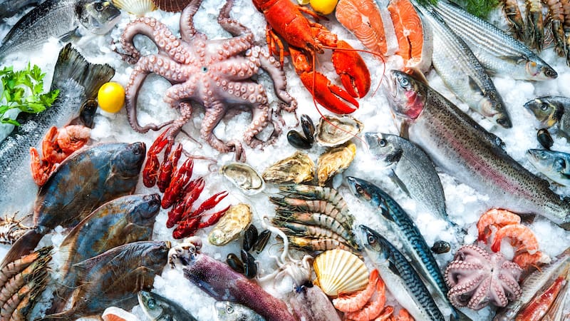 Ni atún, ni bacalao: el pescado rico en omega-3 que previene la depresión y el Alzheimer.