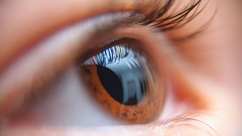 Esta capacidad visual excepcional se debe a variaciones genéticas que alteran los conos responsables de la visión del color. (Fuente: Freepik)