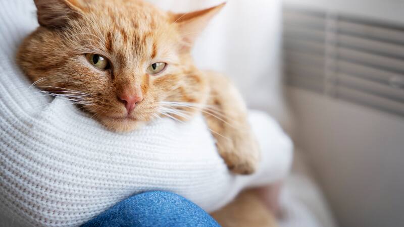 <div class="migrated-promo-image__description"><div class="migrated-promo-image__source">Fuente: Archivo</div></div>