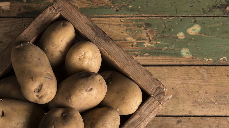 <div class="migrated-promo-image__description"><div class="migrated-promo-image__source">Fuente: Pixabay</div></div>